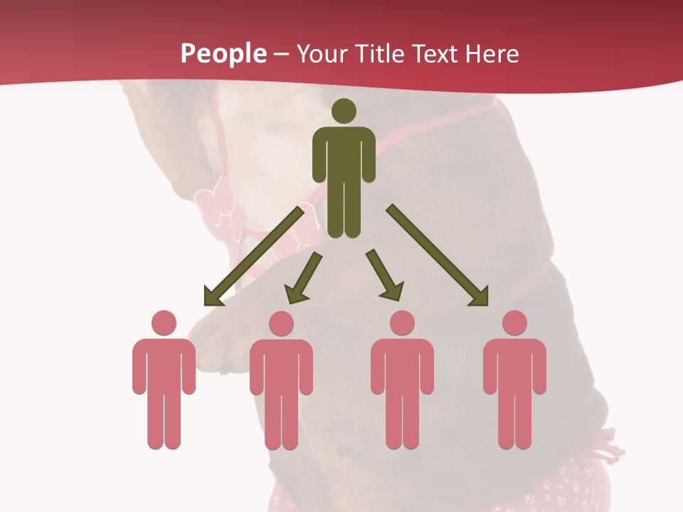 Bikini Wearing Funny PowerPoint Template