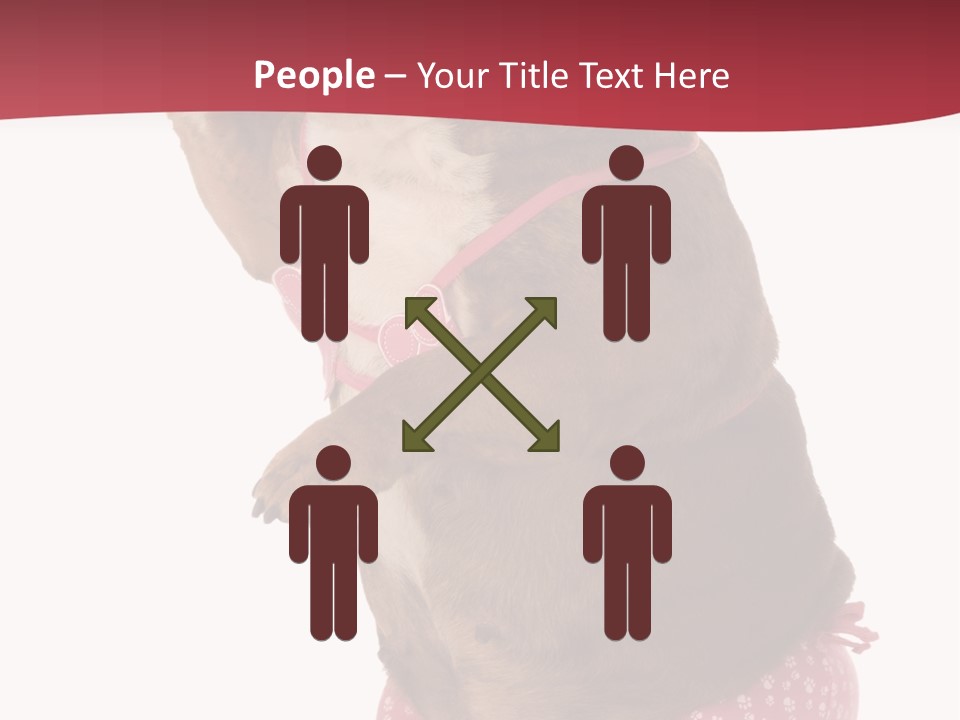 Bikini Wearing Funny PowerPoint Template