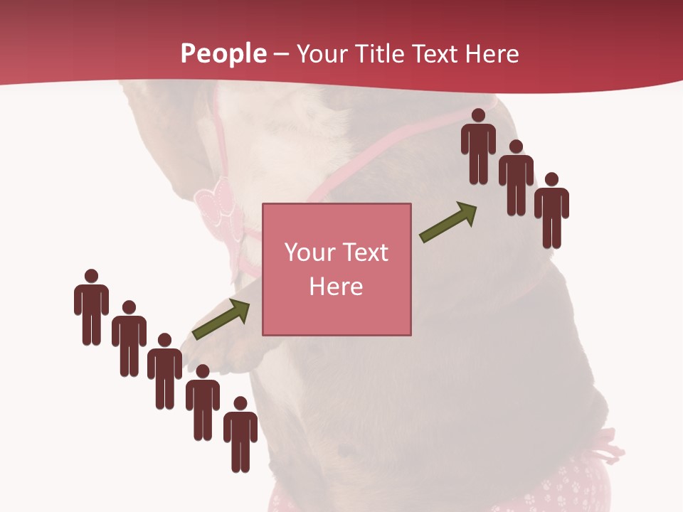 Bikini Wearing Funny PowerPoint Template