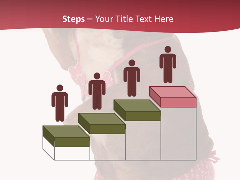 Bikini Wearing Funny PowerPoint Template