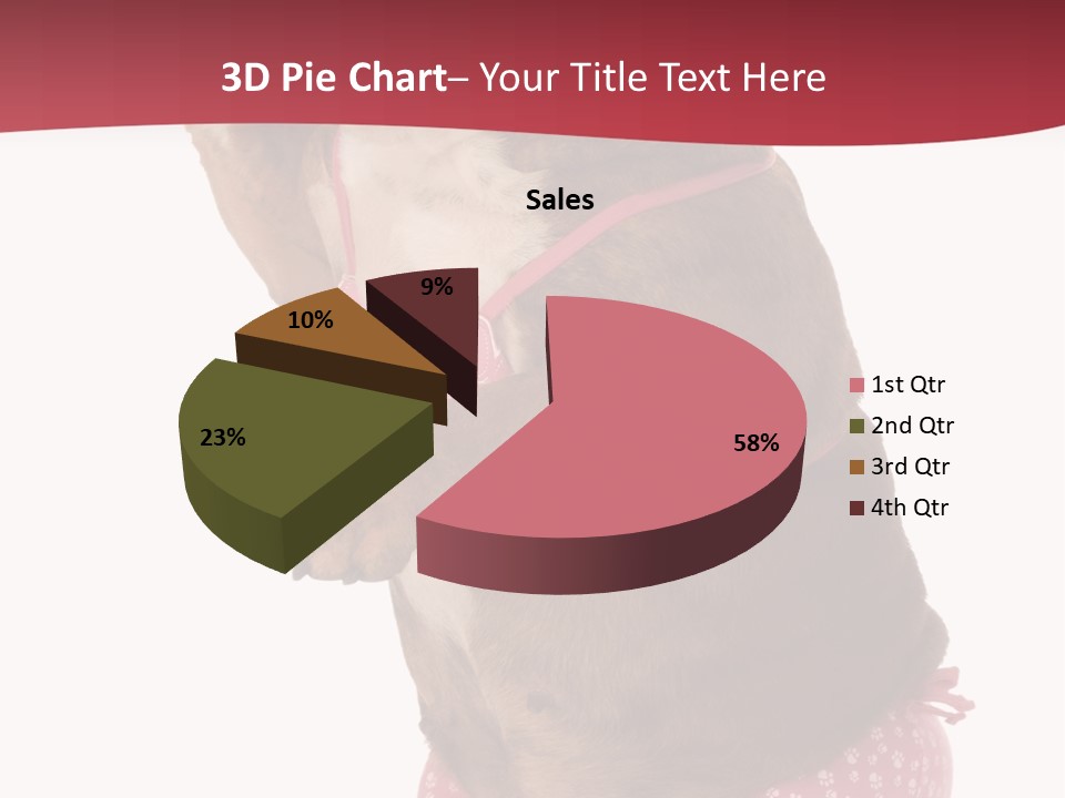 Bikini Wearing Funny PowerPoint Template