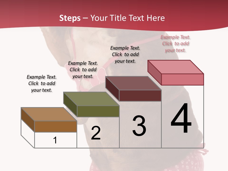 Bikini Wearing Funny PowerPoint Template