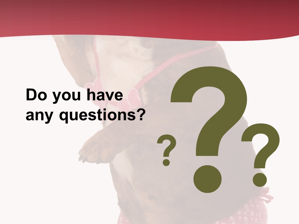 Bikini Wearing Funny PowerPoint Template