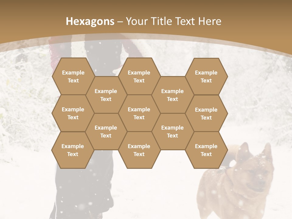 Trees Outside Path PowerPoint Template