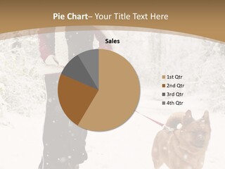 Trees Outside Path PowerPoint Template