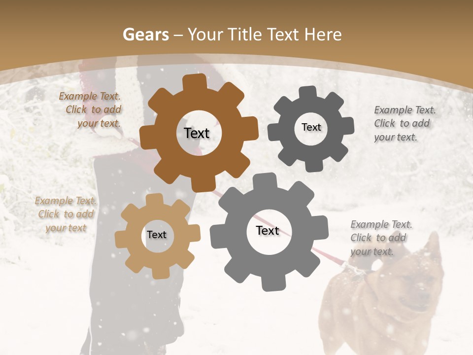 Trees Outside Path PowerPoint Template