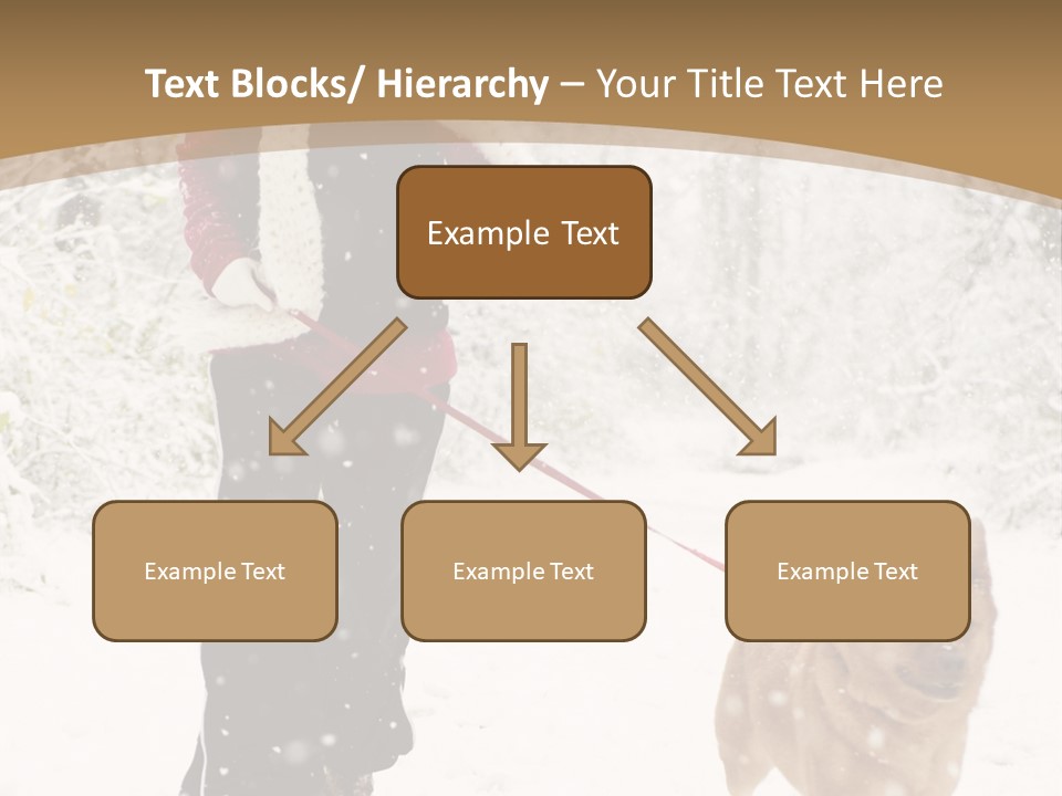 Trees Outside Path PowerPoint Template
