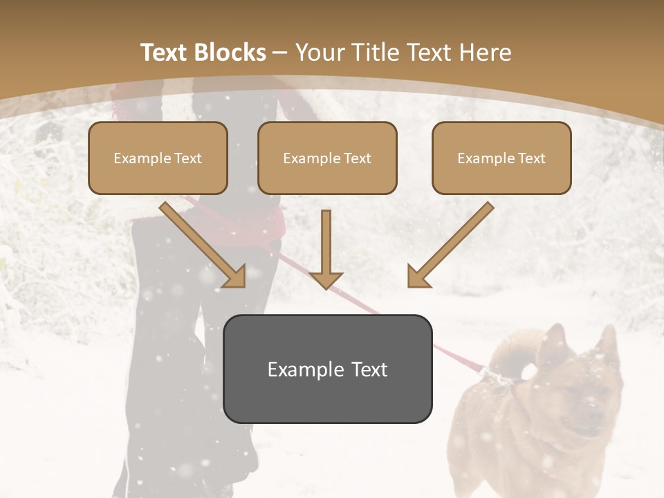 Trees Outside Path PowerPoint Template
