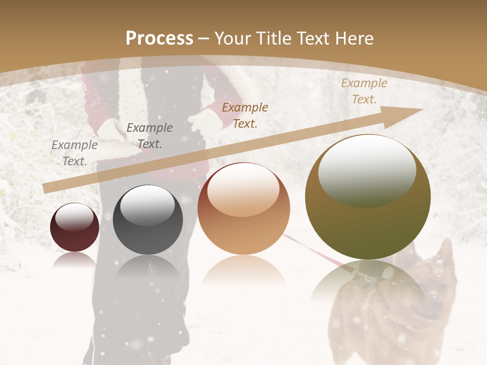 Trees Outside Path PowerPoint Template