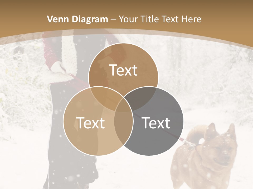 Trees Outside Path PowerPoint Template
