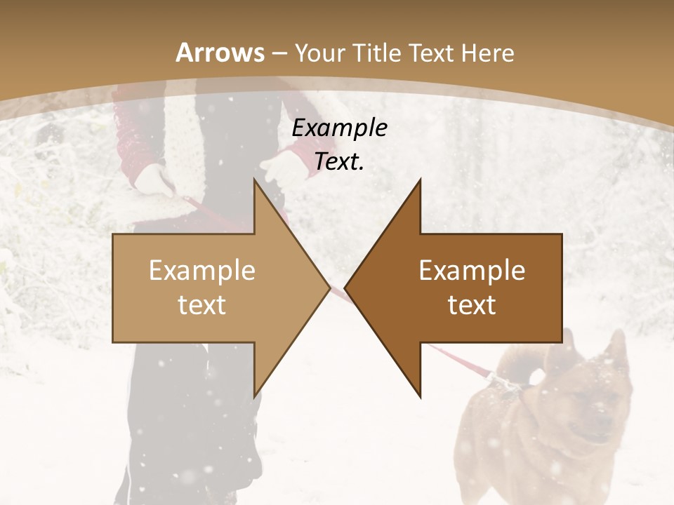 Trees Outside Path PowerPoint Template