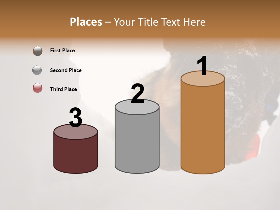 Patrol Furry Dog PowerPoint Template