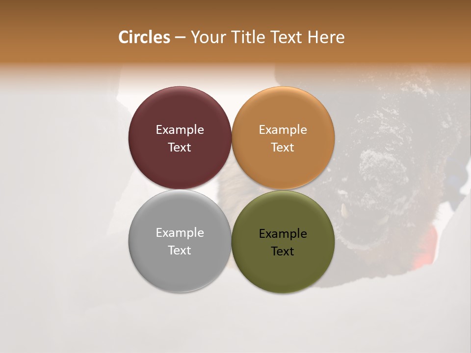 Patrol Furry Dog PowerPoint Template