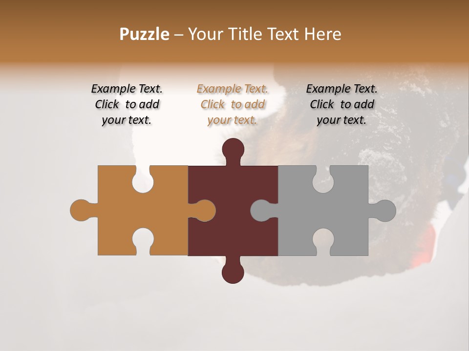 Patrol Furry Dog PowerPoint Template