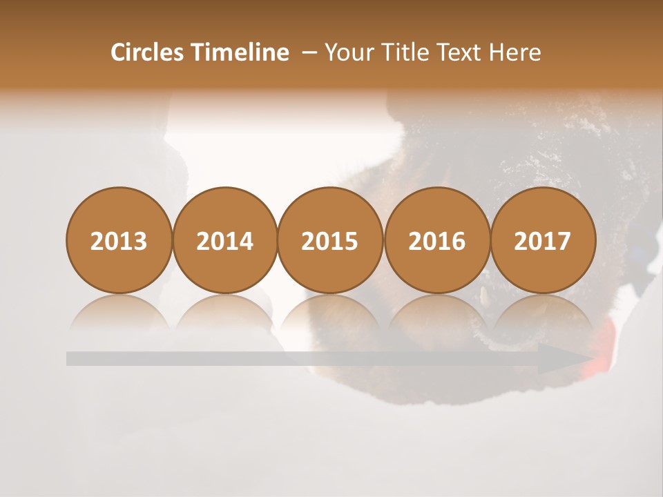 Patrol Furry Dog PowerPoint Template