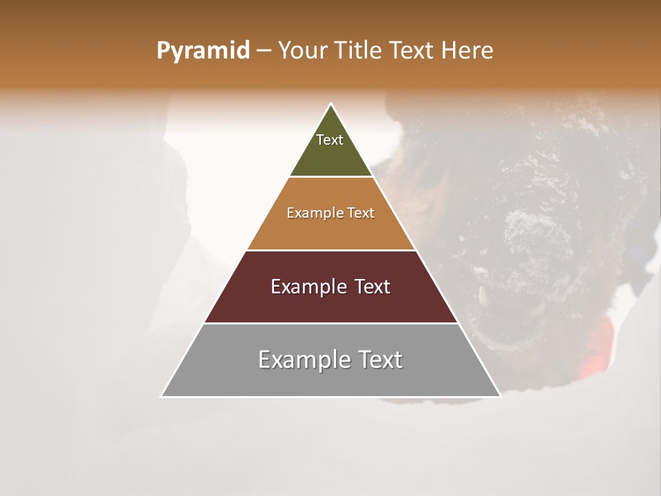 Patrol Furry Dog PowerPoint Template