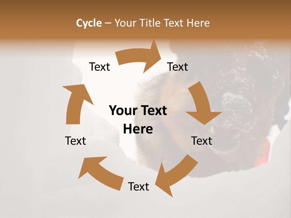 Patrol Furry Dog PowerPoint Template