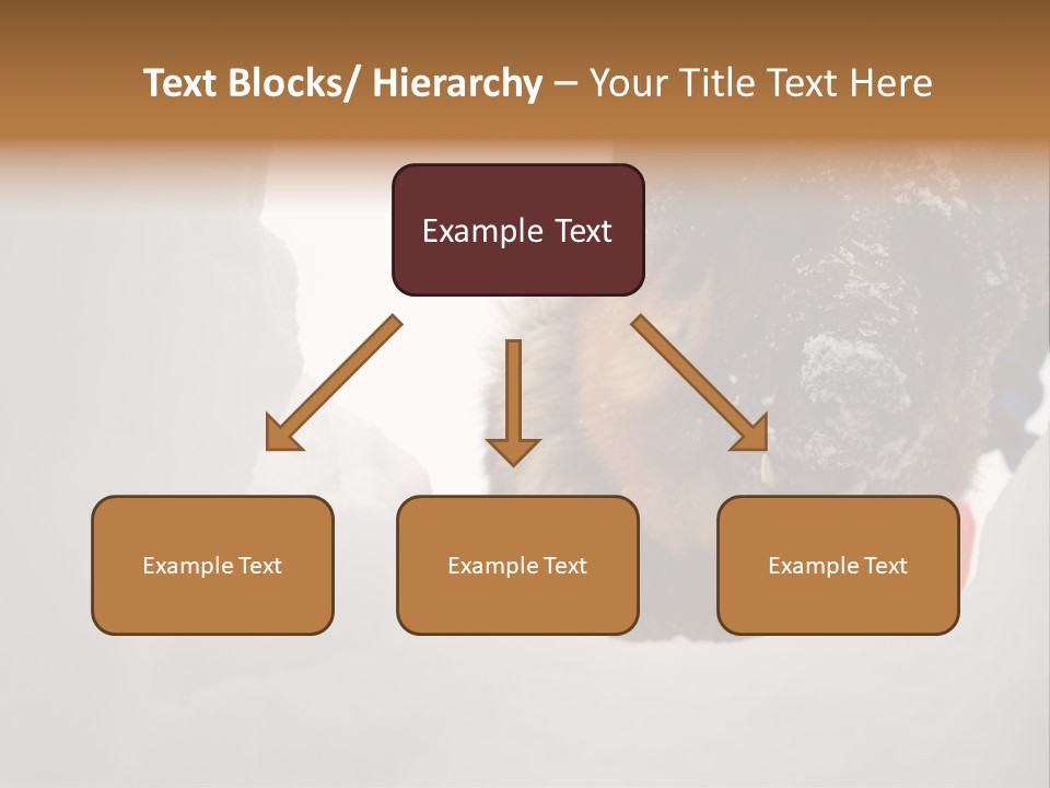 Patrol Furry Dog PowerPoint Template