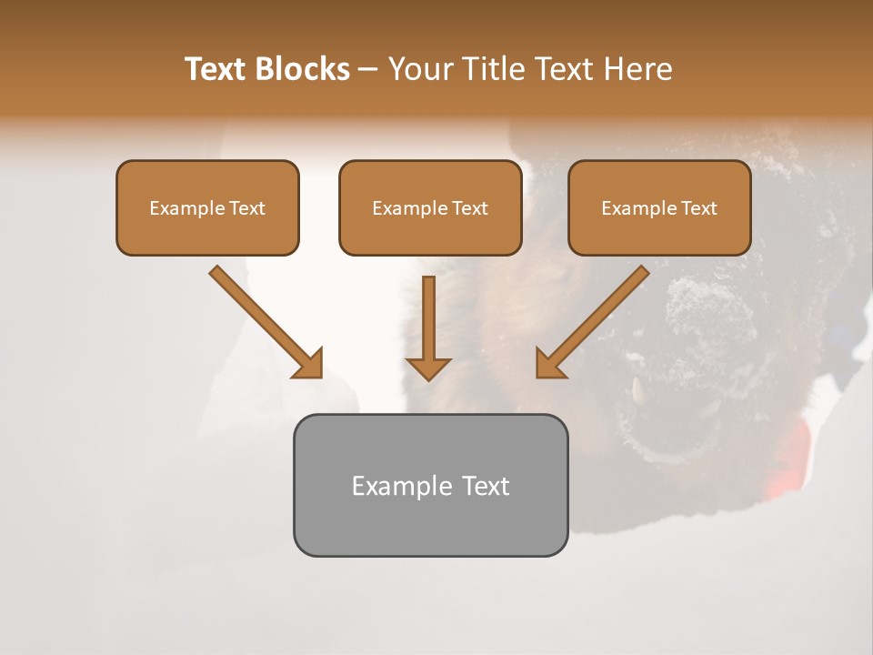Patrol Furry Dog PowerPoint Template