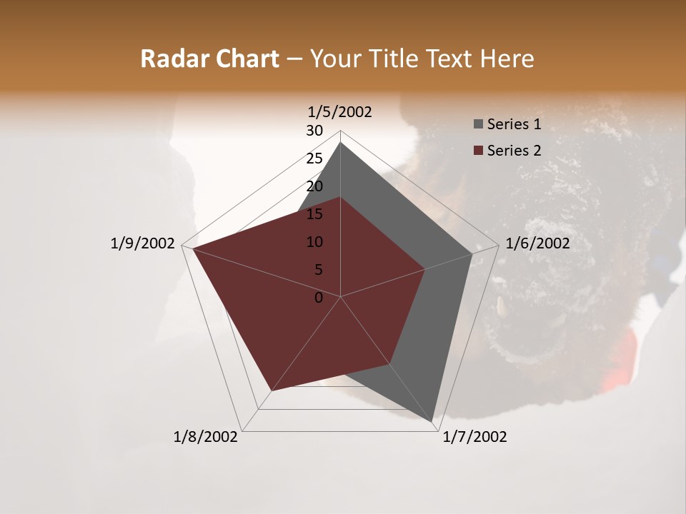 Patrol Furry Dog PowerPoint Template