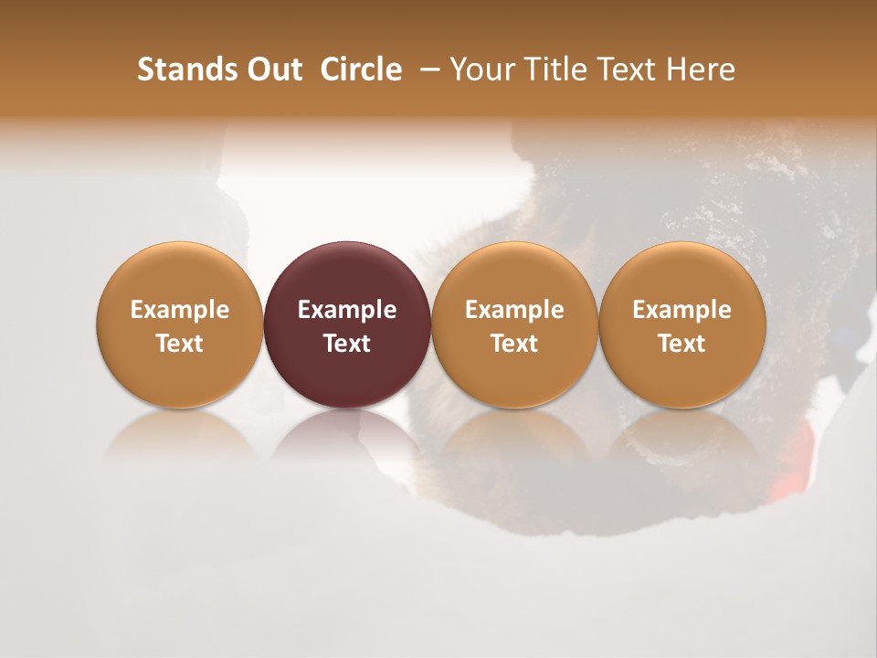 Patrol Furry Dog PowerPoint Template