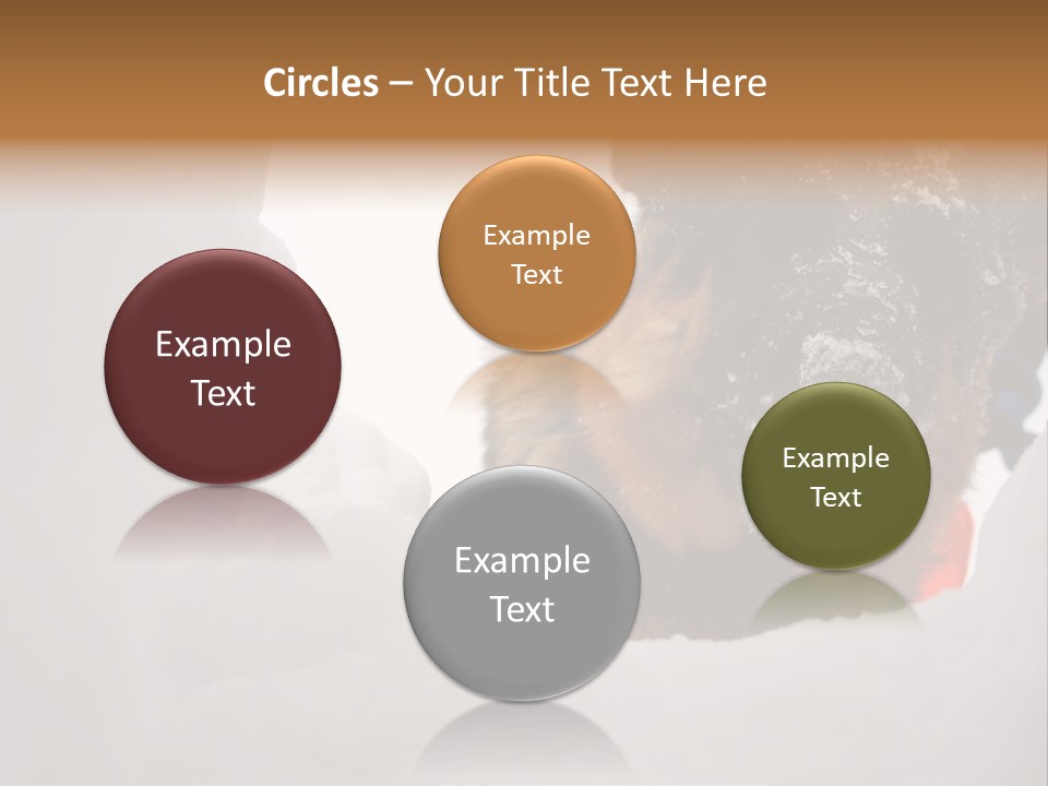 Patrol Furry Dog PowerPoint Template