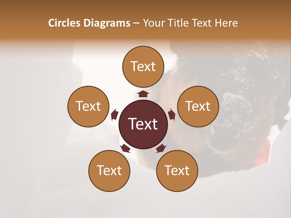 Patrol Furry Dog PowerPoint Template