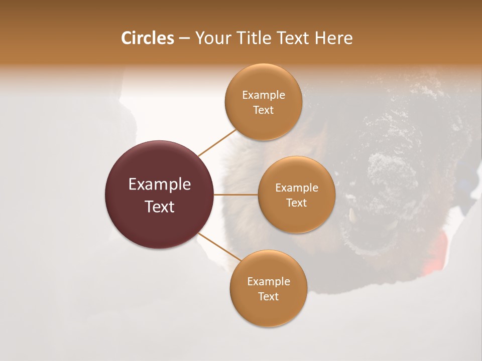 Patrol Furry Dog PowerPoint Template