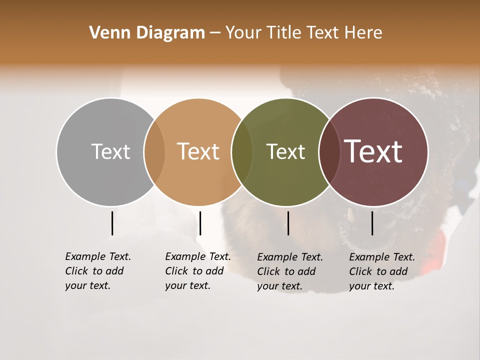 Patrol Furry Dog PowerPoint Template