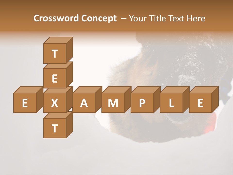 Patrol Furry Dog PowerPoint Template