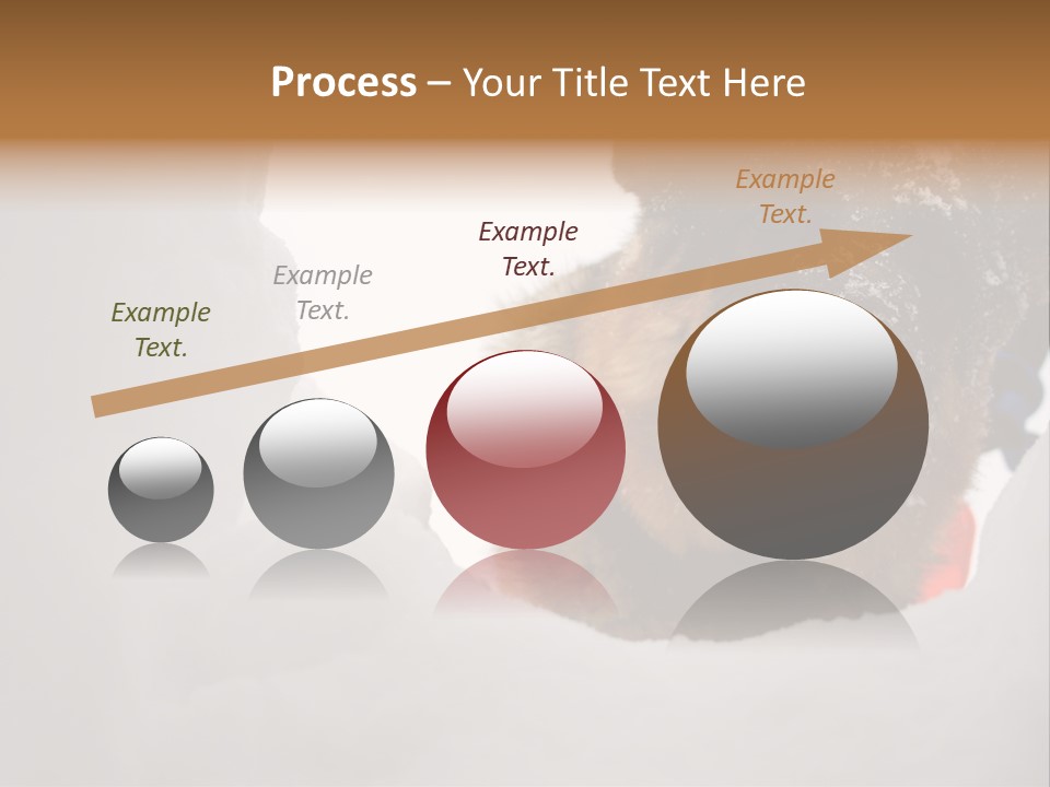 Patrol Furry Dog PowerPoint Template