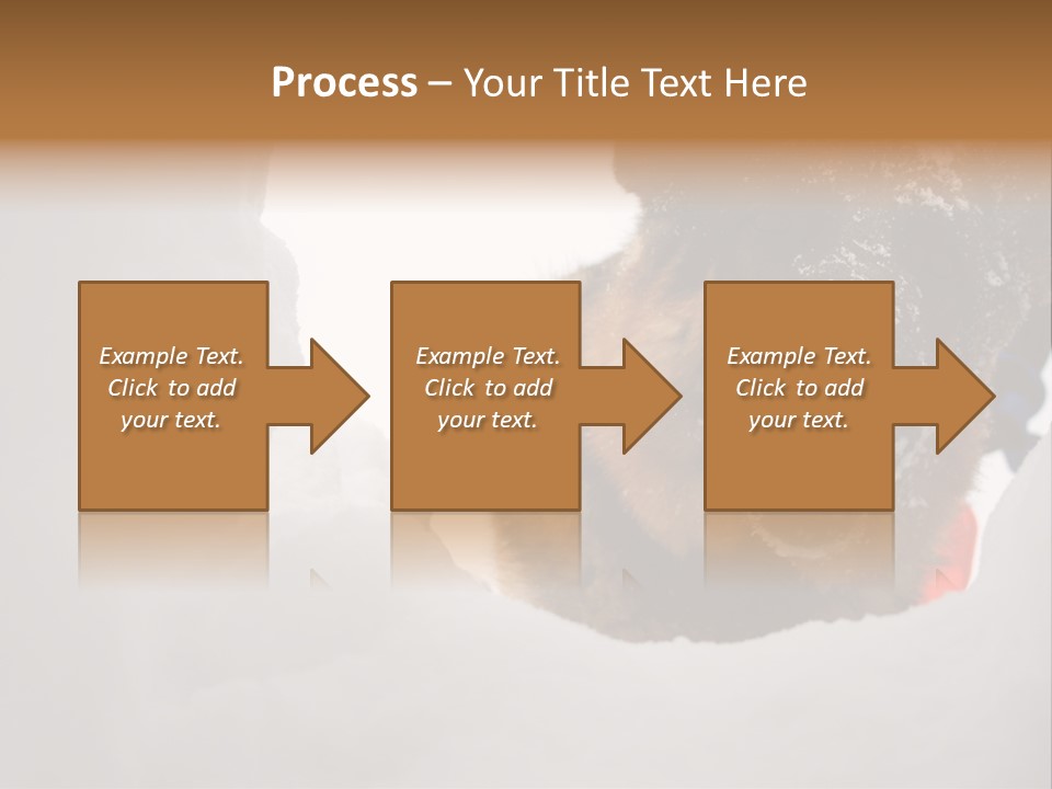 Patrol Furry Dog PowerPoint Template