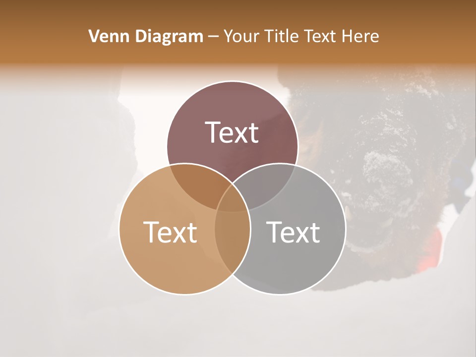 Patrol Furry Dog PowerPoint Template