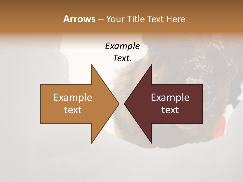 Patrol Furry Dog PowerPoint Template