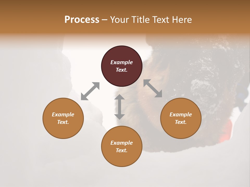 Patrol Furry Dog PowerPoint Template