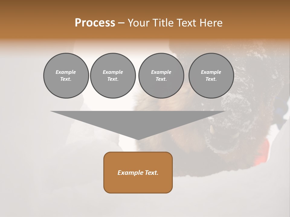 Patrol Furry Dog PowerPoint Template