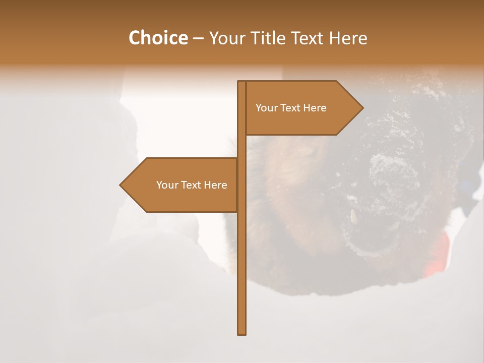 Patrol Furry Dog PowerPoint Template