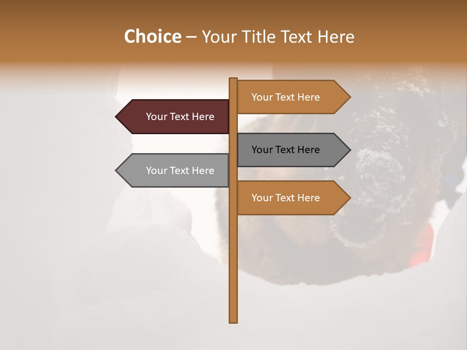 Patrol Furry Dog PowerPoint Template