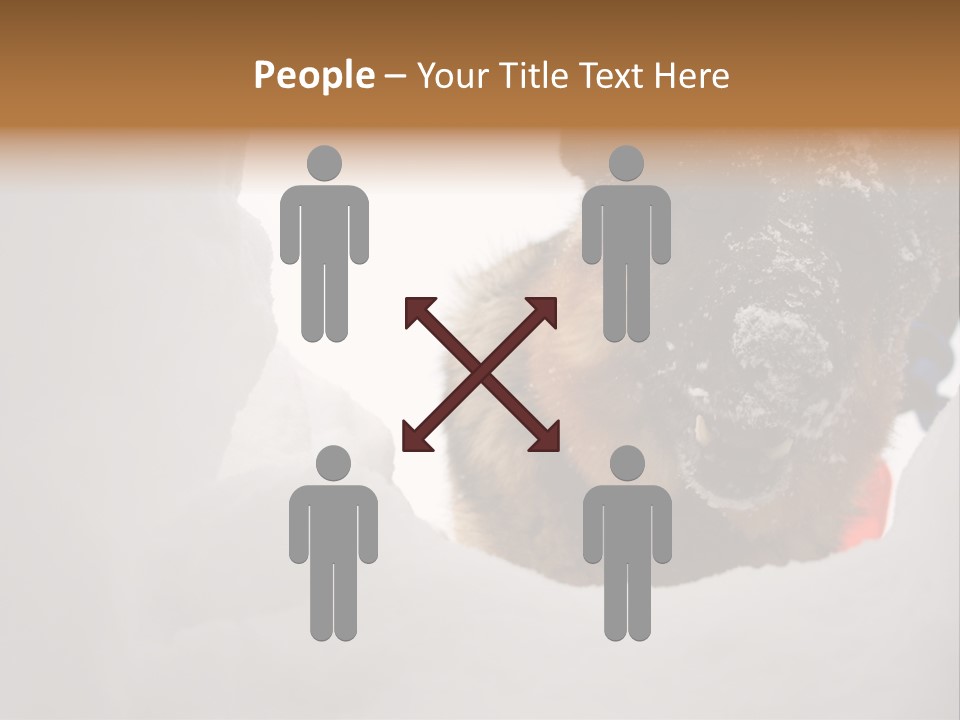 Patrol Furry Dog PowerPoint Template