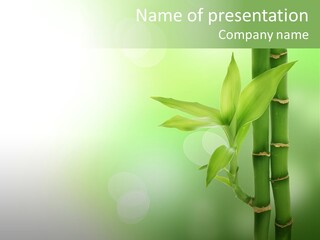 Ecology Environment Plant PowerPoint Template