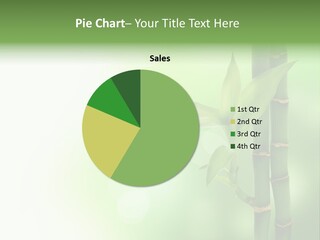 Ecology Environment Plant PowerPoint Template