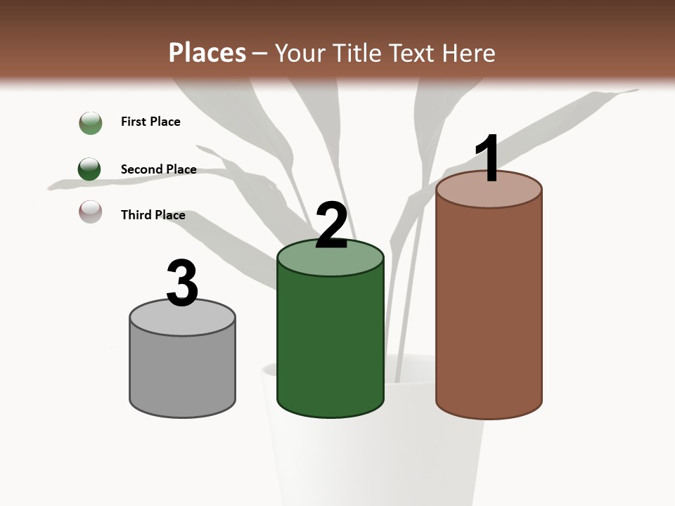 Aspidistra Elatior Aspidistra White PowerPoint Template