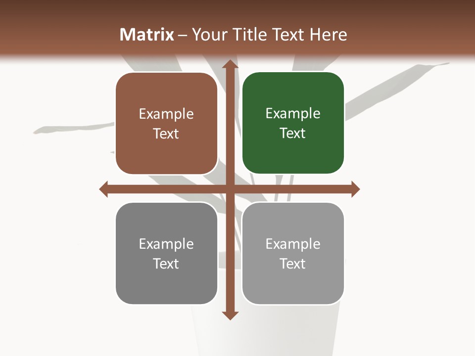 Aspidistra Elatior Aspidistra White PowerPoint Template