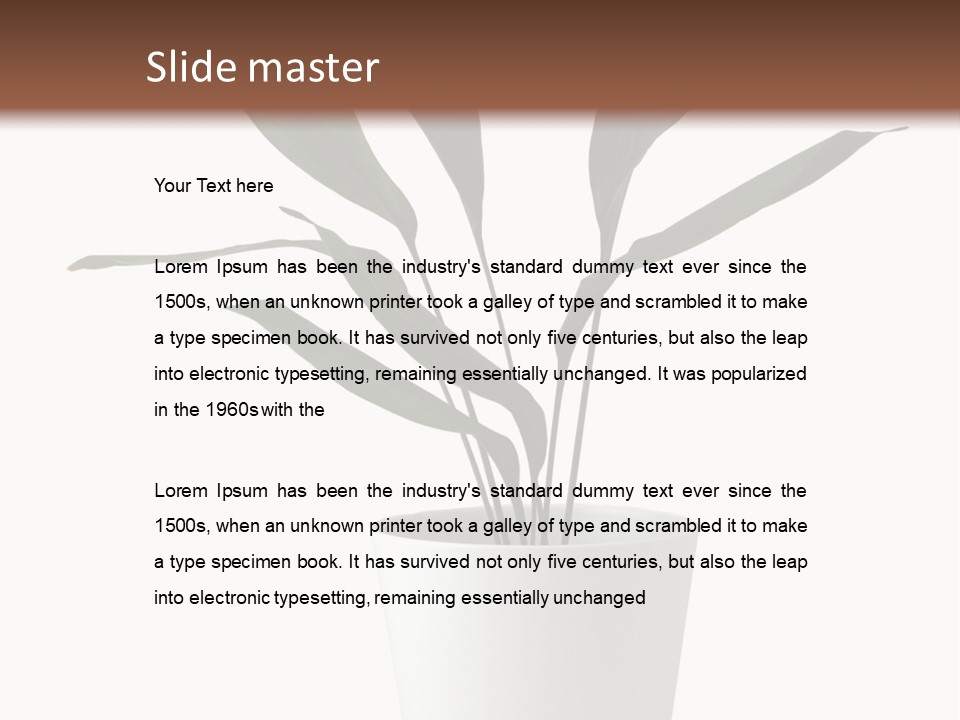 Aspidistra Elatior Aspidistra White PowerPoint Template