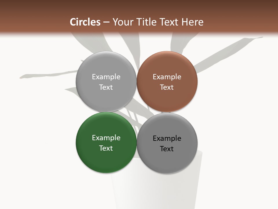 Aspidistra Elatior Aspidistra White PowerPoint Template