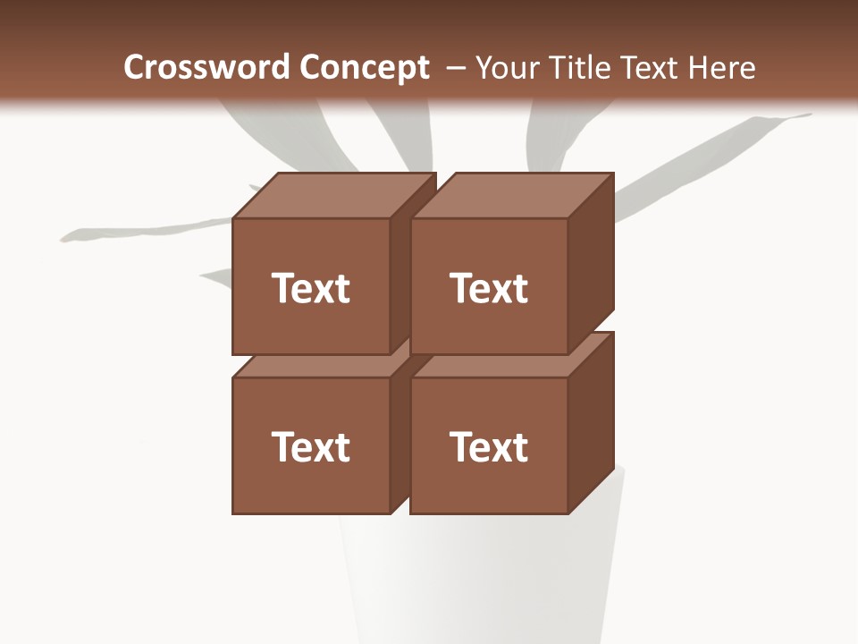 Aspidistra Elatior Aspidistra White PowerPoint Template