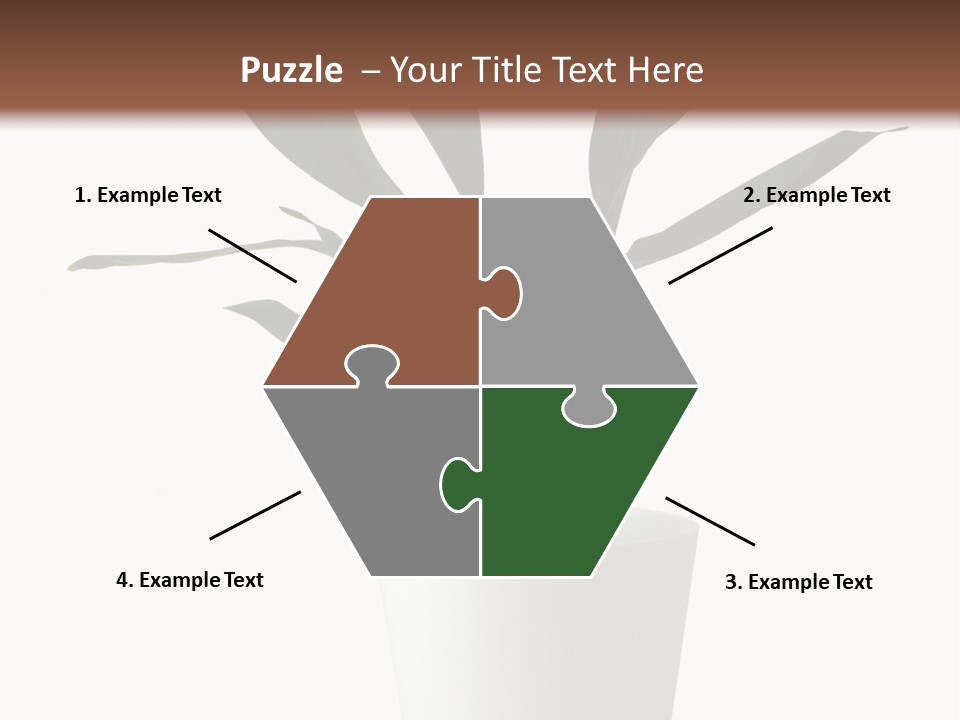 Aspidistra Elatior Aspidistra White PowerPoint Template