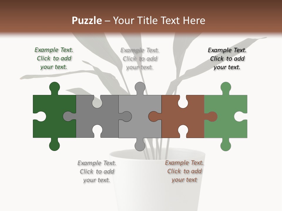 Aspidistra Elatior Aspidistra White PowerPoint Template