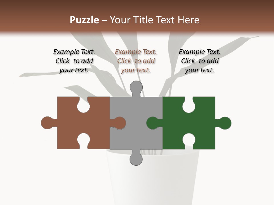 Aspidistra Elatior Aspidistra White PowerPoint Template