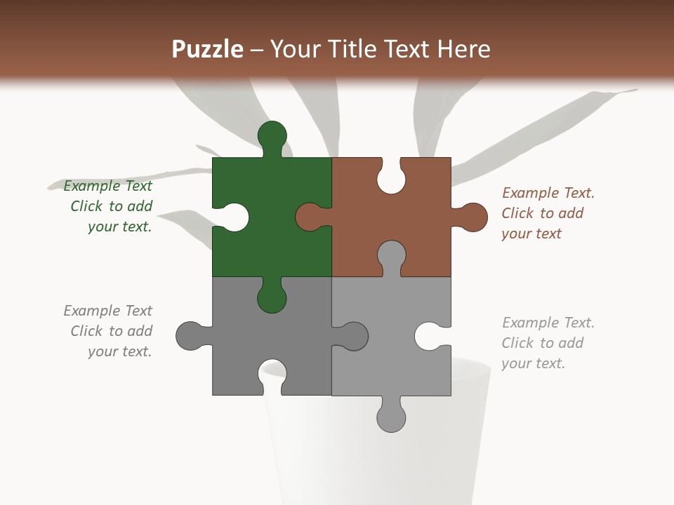 Aspidistra Elatior Aspidistra White PowerPoint Template